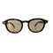 モスコット MOSCOT LEMTOSH ボストンサングラス TORTOISE メンズ 46□24 145