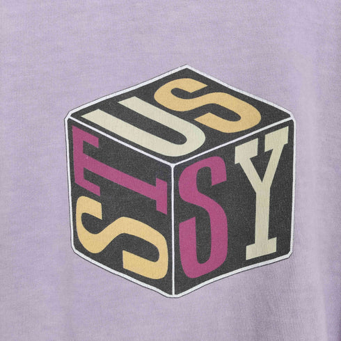 ステューシー Stussy フロントボックスデザインLS TEE メンズ JPN:M