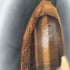 ティンバーランド Timberland 6inch PREMIUM WP BOOT メンズ JPN:27