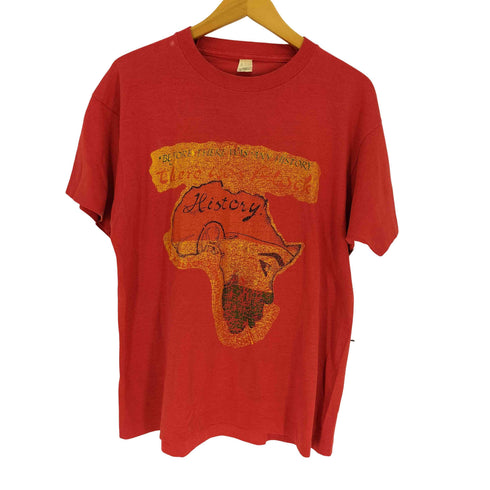 80-90S USA製 SCREEN STARS ボディ History 大陸 プリント Tシャツ 袖シングルステッチ メンズ import:L