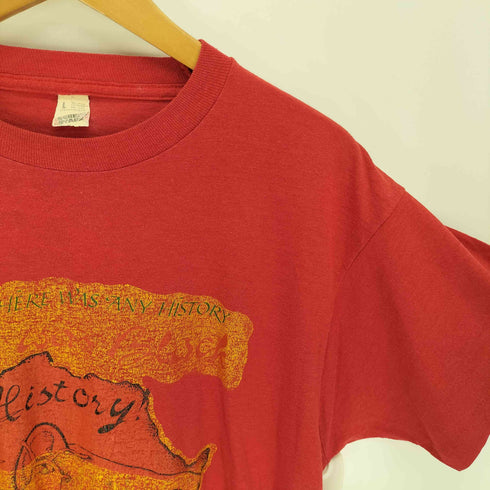 80-90S USA製 SCREEN STARS ボディ History 大陸 プリント Tシャツ 袖シングルステッチ メンズ import:L
