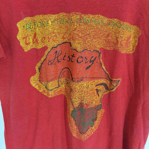 80-90S USA製 SCREEN STARS ボディ History 大陸 プリント Tシャツ 袖シングルステッチ メンズ import:L