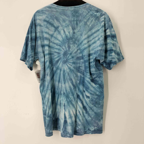 ギルダン GILDAN 2009 アーティストロゴプリントツアーTシャツ バンT タイダイ メンズ import:L