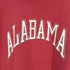 ALABAMA アーチ プリント クルーネックスウェット メンズ