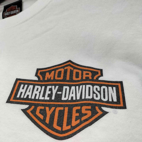 ハーレーダビッドソン HARLEY-DAVIDSON 袖プリントL/Sカットソー メンズ