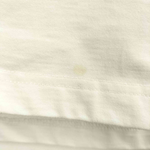 コロンビアスポーツウェア Columbia Sportswear ビックイエローメドーロングスリーブTシャツ メンズ JPN:M