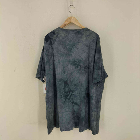 ザマウンテン the mountain アニマルプリントTEE イーグル メンズ 3XL