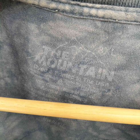 ザマウンテン the mountain アニマルプリントTEE イーグル メンズ 3XL