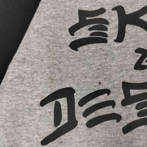 スラッシャー THRASHER ラグランカットソー メンズ JPN:M