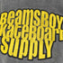 ビームスボーイ BEAMS BOY ウォッシュド加工 プルオーバーパーカー レディース JPN:L