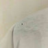PEACE FROGS 1996コピーライト USA製 クルーネックTシャツ メンズ