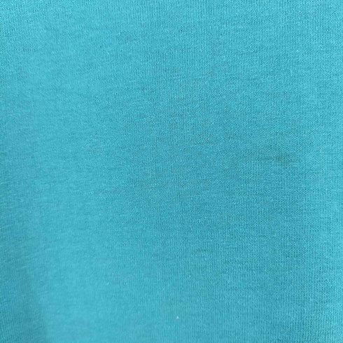 ヘインズ Hanes USA製 ブランクTシャツ メンズ import:XL