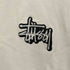 ステューシー Stussy S/S CLOUD TEE メンズ import:S