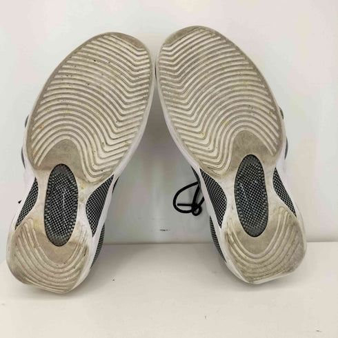 ナイキ NIKE AIR ZOOM FLIGHT 95 メンズ JPN:29