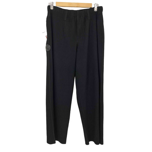 オムプリッセイッセイミヤケ HOMME PLISSE ISSEY MIYAKE 23SS TAILORED PLEATS PANTS メンズ JPN:3