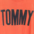 トミーヒルフィガーデニム TOMMY HILFIGER DENIM フロッキー ロゴ プリント Tシャツ メンズ import:L