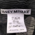 イッセイミヤケ ISSEY MIYAKE 15AW シアー ハイネック プリーツ トップス レディース JPN:2