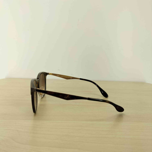 レイバン Ray-Ban RB4278 グラデーションレンズ サングラス レディース 51□21 145