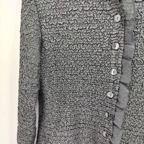 スペッシオ SPECCHIO プリーツ ポップコーン シアー L/S シャツ ブラウス レディース