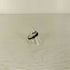 サルバム sulvam 925刻印 Nails ring ネイルズ リング メンズ 13号