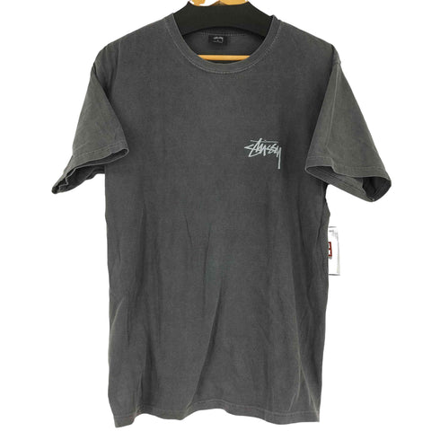 ステューシー Stussy Daydream Pig Dyed Tee メンズ JPN:M