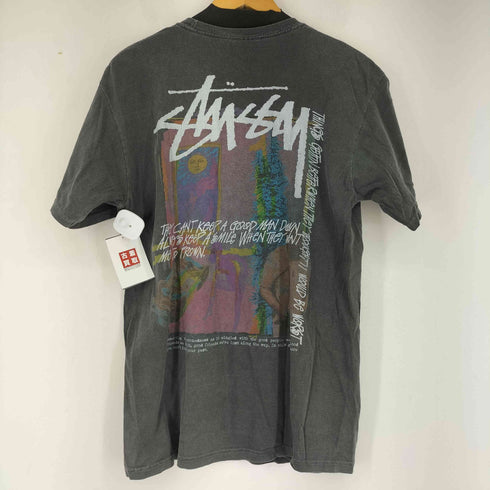 ステューシー Stussy Daydream Pig Dyed Tee メンズ JPN:M