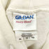 GILDAN ボディ PENN STATE NITTANY LIONS ペン・ステート・ニタニー・ライオンズ プリント プオーバー パーカー メンズ import:XL