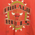 90s USA製 NBAチーム ロゴ プリント シングルステッチ 半袖 Tシャツ vintage メンズ import:XL