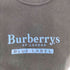 バーバリーズ BURBERRYS Y2K ラメプリント ピチT レディース import:M