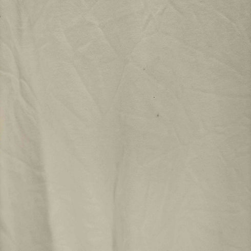 ステューシー Stussy Mexico製 ロゴクルーネックTシャツ メンズ JPN:XL