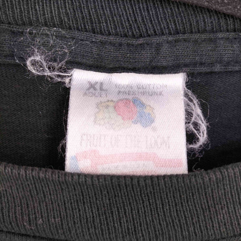 フルーツオブザルーム FRUIT OF THE LOOM Einstein T-shirt メンズ import:XL