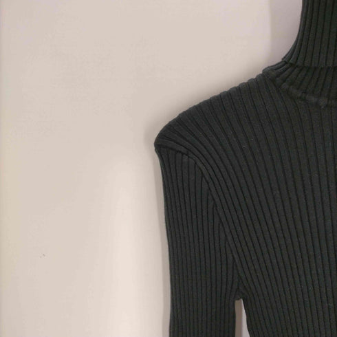 giugiu タートルネック import レディース