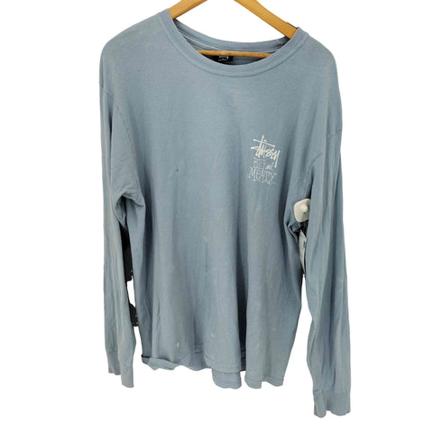 ステューシー Stussy BIG AND MEATY ロングスリーブTシャツ メンズ import:L
