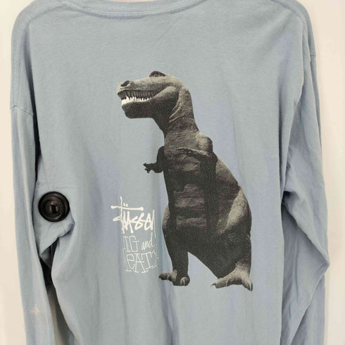 ステューシー Stussy BIG AND MEATY ロングスリーブTシャツ メンズ import:L