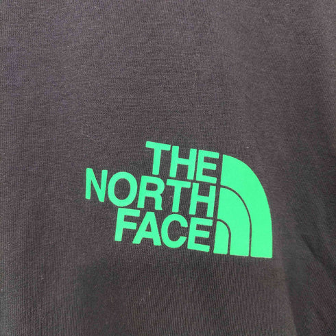 ザノースフェイス THE NORTH FACE Hit Graphic Tee メンズ import:M