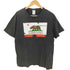 デルタプロウェイト DELTA PRO WEIGHT 00S CALIFORNIA REPUBLIC ベア プリント S/S コットン クルーネック Tシャツ メンズ import:L