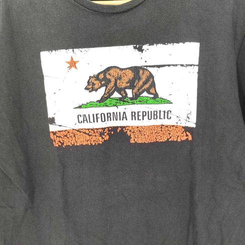 デルタプロウェイト DELTA PRO WEIGHT 00S CALIFORNIA REPUBLIC ベア プリント S/S コットン クルーネック Tシャツ メンズ import:L
