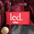 led.tokyo 23AW VELOUR TRACK SHORT JACKET ベロア トラック ショート ジャケット レディース JPN:38
