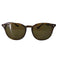 レイバン Ray-Ban RB4259 ポリッシュハバナ パントス サングラス メンズ 53□20 150