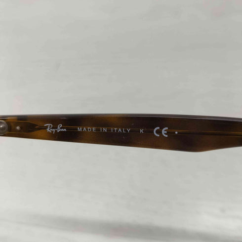 レイバン Ray-Ban RB4259 ポリッシュハバナ パントス サングラス メンズ 53□20 150