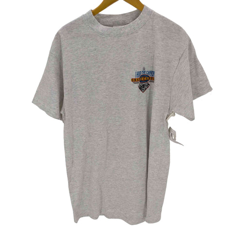 タルテックス TULTEX 00S グランドキャニオン クルーネックTシャツ メンズ import:L