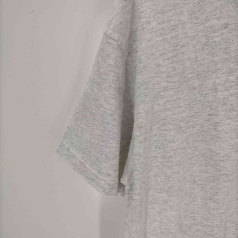 タルテックス TULTEX 00S グランドキャニオン クルーネックTシャツ メンズ import:L