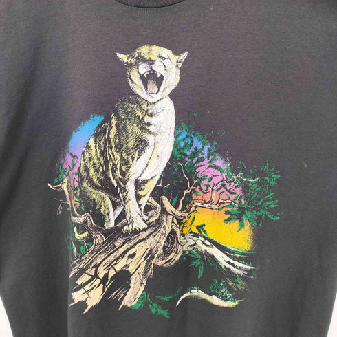 フルーツオブザルーム FRUIT OF THE LOOM USA製 BEST ネコ 猫 キャット Tシャツ 袖&裾シングル ボックスシルエット メンズ import:XL