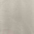ステューシー Stussy 00S Year of the Tiger 寅年 Tシャツ メンズ import:M