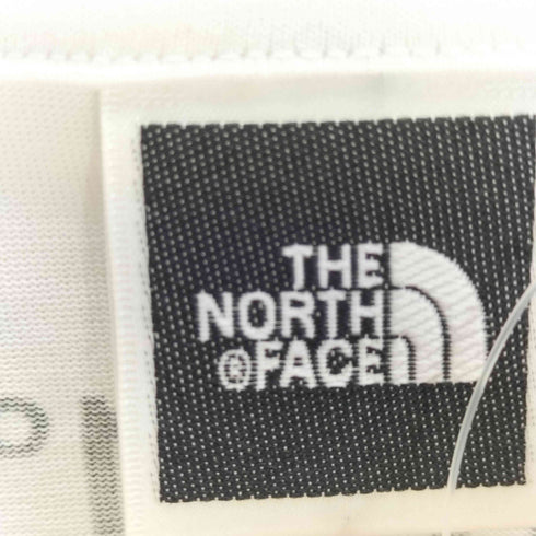 ザノースフェイス THE NORTH FACE summit tee メンズ JPN:M