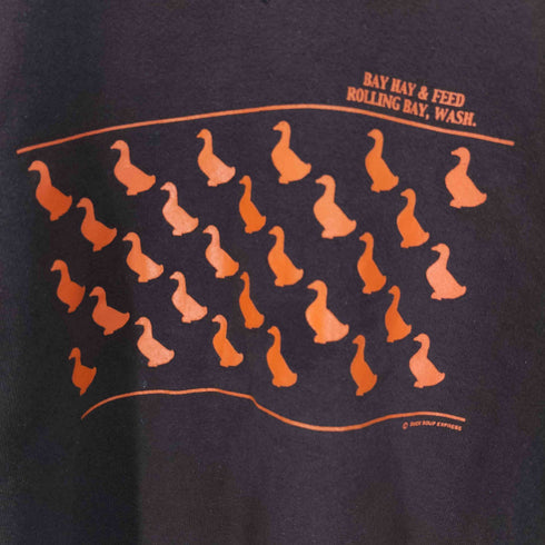 ラッセルアスレチック RUSSELL ATHLETIC 00S Dri-POWER Duck Soup Express はめ込み Vガゼット アヒル 裏起毛 プルオーバー スウェット メンズ import:L