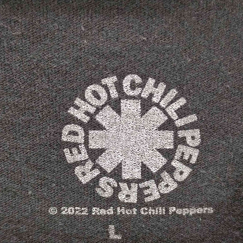 2022 アーティストTシャツ メンズ JPN:L