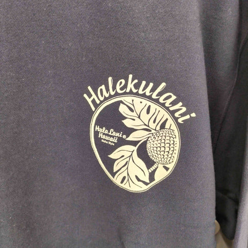 フララニハワイ Hulalani Hawaii 両面プリントスウェットプルオーバー メンズ import:XL