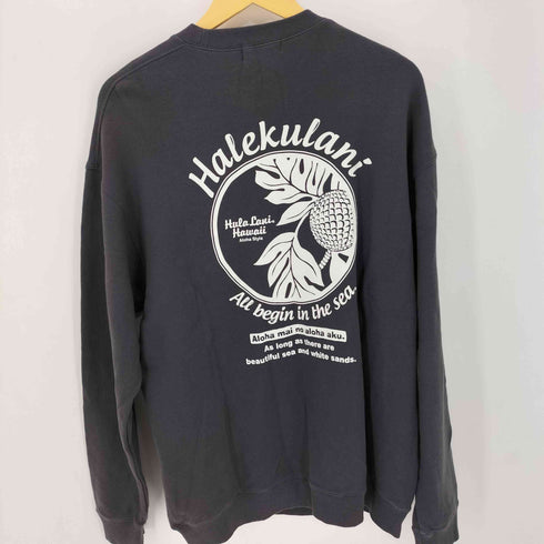 フララニハワイ Hulalani Hawaii 両面プリントスウェットプルオーバー メンズ import:XL