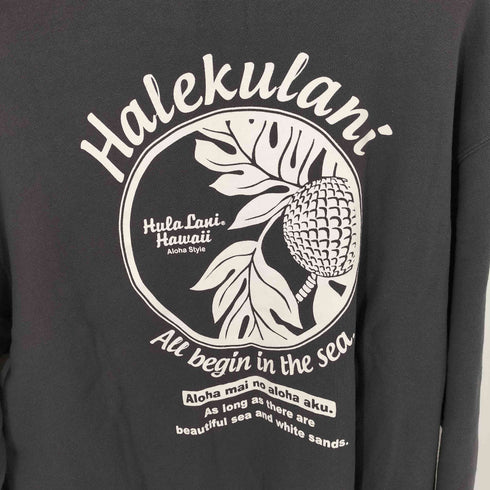フララニハワイ Hulalani Hawaii 両面プリントスウェットプルオーバー メンズ import:XL